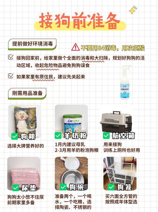 幼犬到家怎么养❓保姆级幼犬喂养攻略