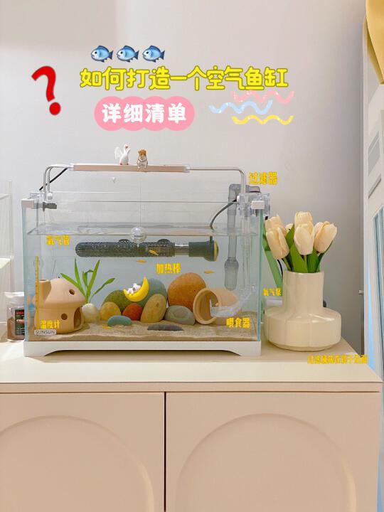 我的空气鱼缸终于成型了！🐟（附清单）🛒