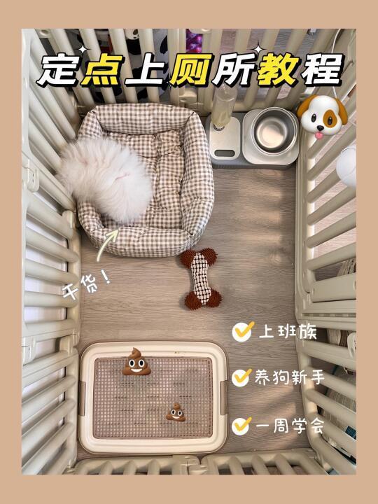 新手养狗必看丨一周搞定狗狗定点上厕所🚾