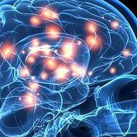 NMN对大脑有什么帮助作用？最新研究结果。