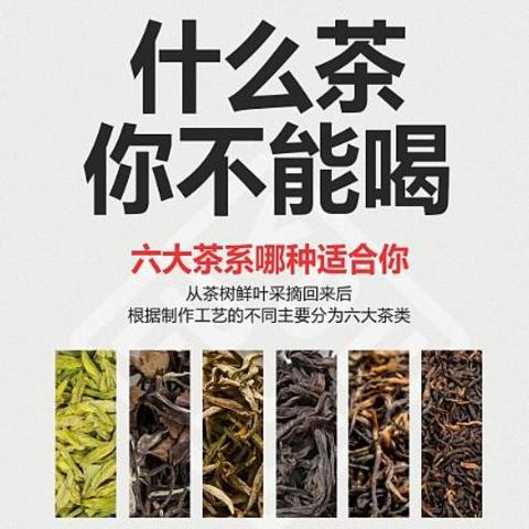 喝茶有讲究！根据体质选对茶，身体好才是真的好