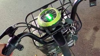 飞鸽新国标48V成人代步车小型电动自行车男女锂电瓶车两轮