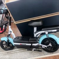 2 飞鸽新国标48V成人代步车小型电动自行车男女锂电瓶车两轮