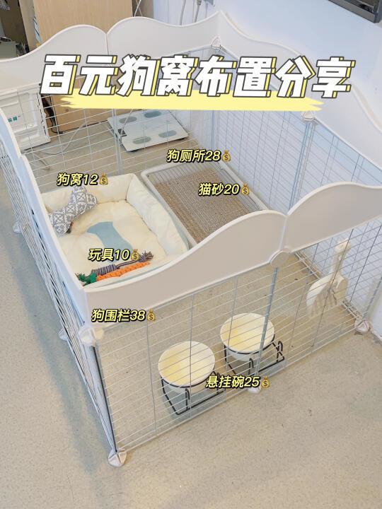 百元💰抠搜狗窝布置指南❗️进来抄作业