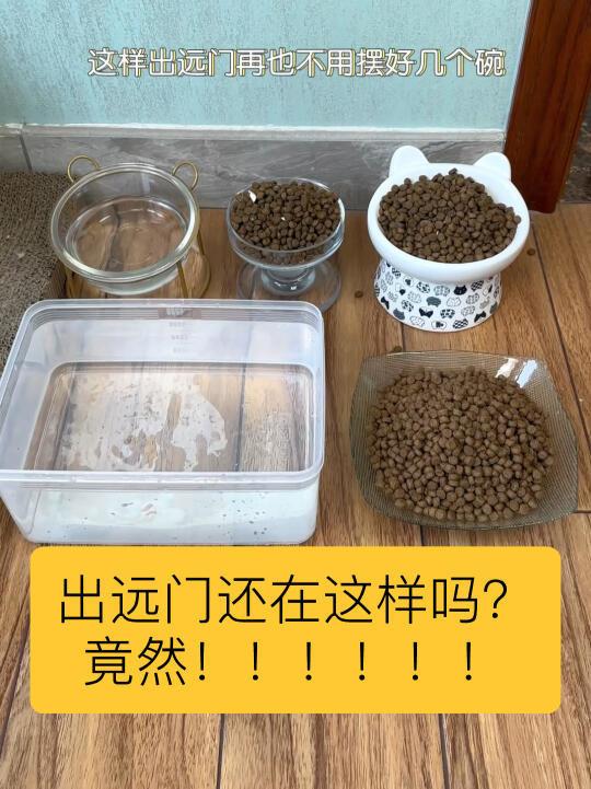 宠物的全自动喂食器真的好用吗？