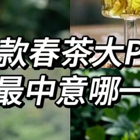 4款春茶大OK，你最中意哪一款？