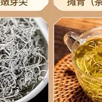 【茶叶推荐】—— 探寻茶叶的魅力，品味生活的诗意