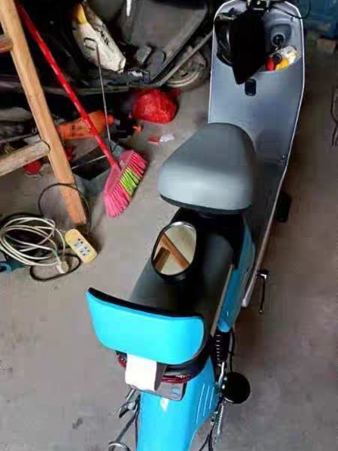 2024新款电动车成人电动自行车男女式锂电池小型电瓶车新国标电车