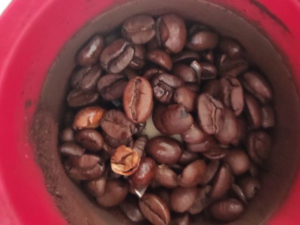 这款超值的咖啡豆到底好不好！