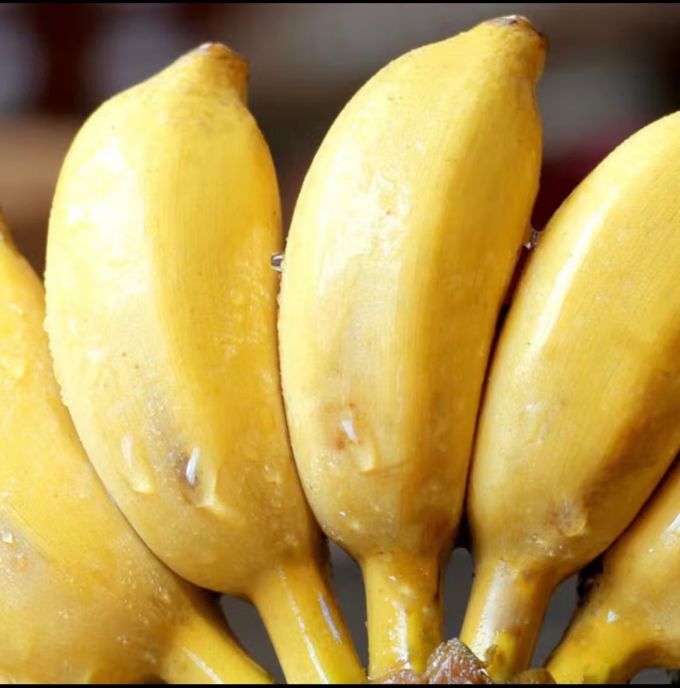 果佳玖香蕉怎么样 广西小米蕉:办公室午后的甜蜜之选!_什么值得买