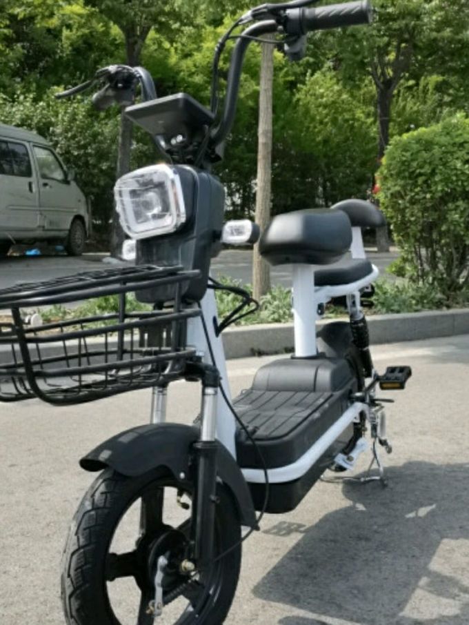 飞鸽电动车整车