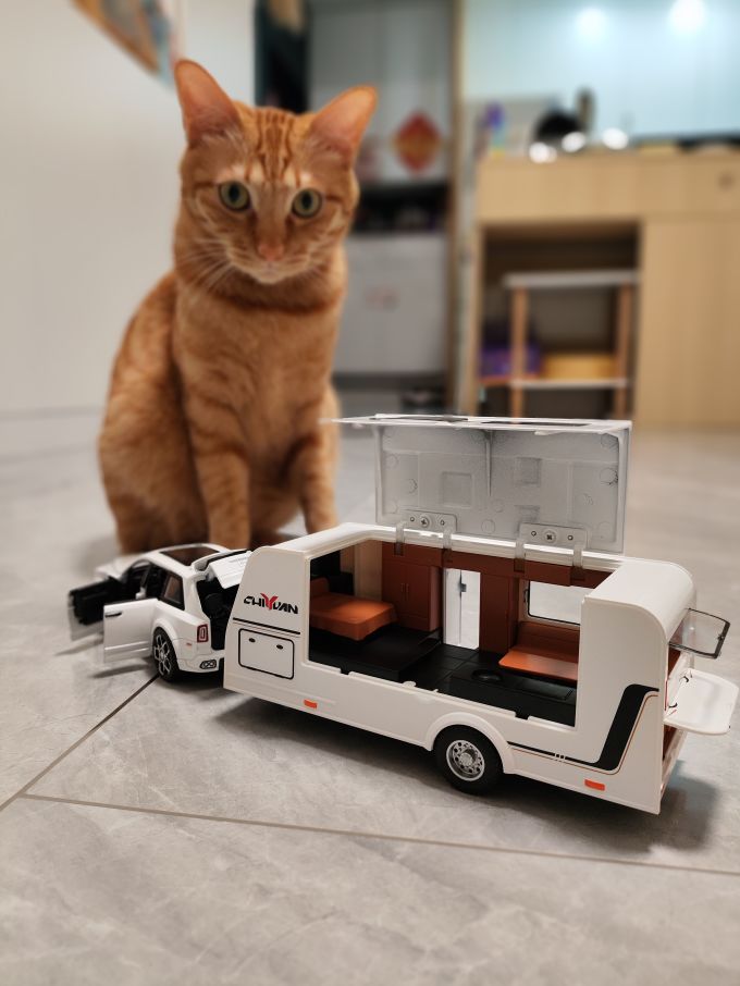 小猫们的第一辆房车