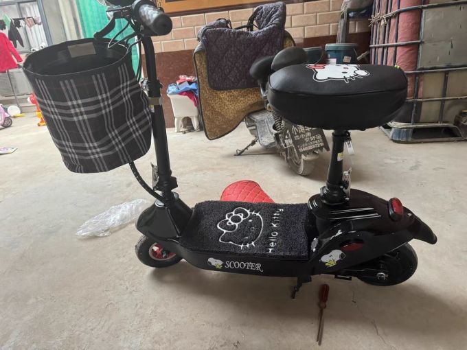 小海豚电动车折叠迷你男女代步车小型两轮电瓶车