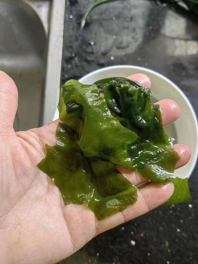 裙带菜， 虾仁汤。