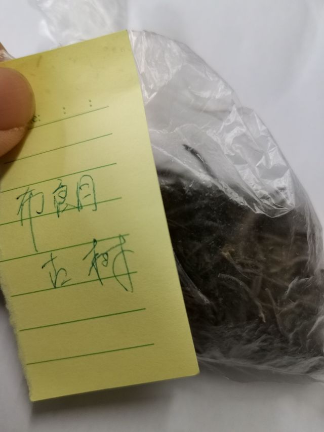布朗古树