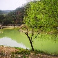 春季养生饮食