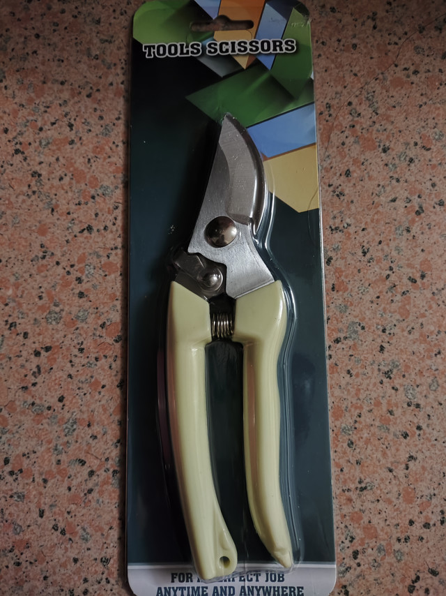 春天来了，该修剪一下了