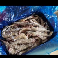京东京造黑虎虾1kg 30-40只 海鲜水产  大虾
