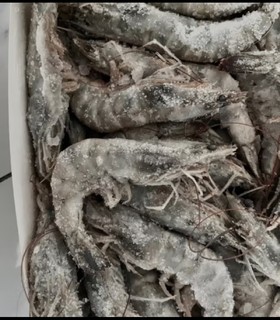 渔游记（YUYOUJI）大大大号对虾18-20cm厄瓜多尔海域净1.8kg 南美白虾2030生鲜虾类