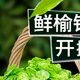 新鲜榆钱儿蔬菜，健康美味，你值得拥有！