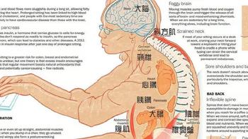 致久坐，不仅屁股疼，还可能会致命 