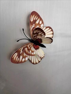 立体感十足的3D立体蝴蝶