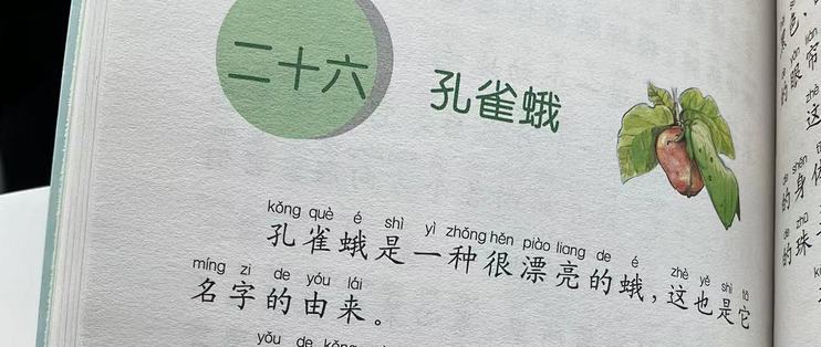 和娃一起读《昆虫记》之孔雀蛾