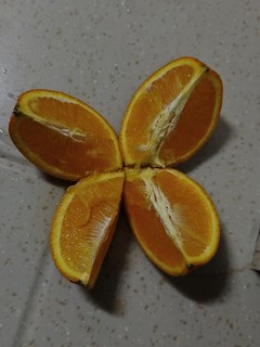 甜蜜小橙