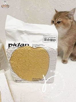 pidan混合猫砂