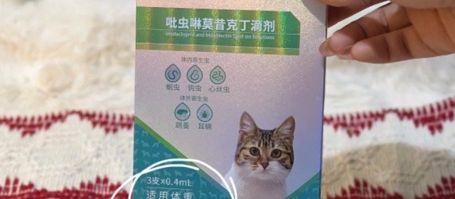 懒人铲屎官必备猫咪驱虫指南