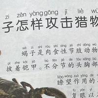 中国孩子的百科全书之蝎子怎样攻击猎物