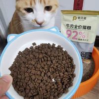 萌宠新品高蛋白低脂肪的猫粮