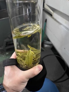 承艺茗茶：品味正宗新茶之选