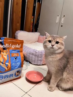 SolidGold金素力高猫粮幼猫成猫鲜肉猫粮鸡肉味旗舰店全价猫粮3磅