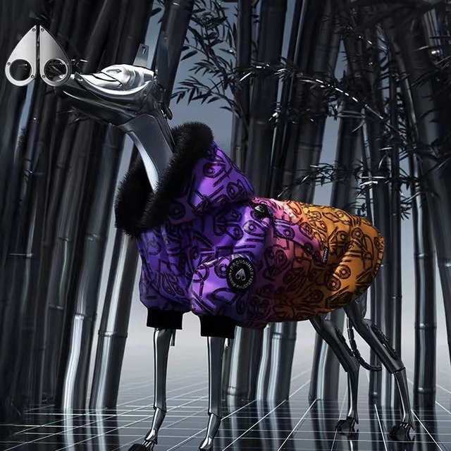 Moose Knuckles与PRONOUNCE联名款狗狗外套：竹韵与色彩的交融