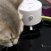 2无线猫咪饮水机不插电紫外线杀菌智能恒温加热宠物陶瓷自动饮水机