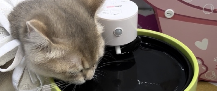 2无线猫咪饮水机不插电紫外线杀菌智能恒温加热宠物陶瓷自动饮水机