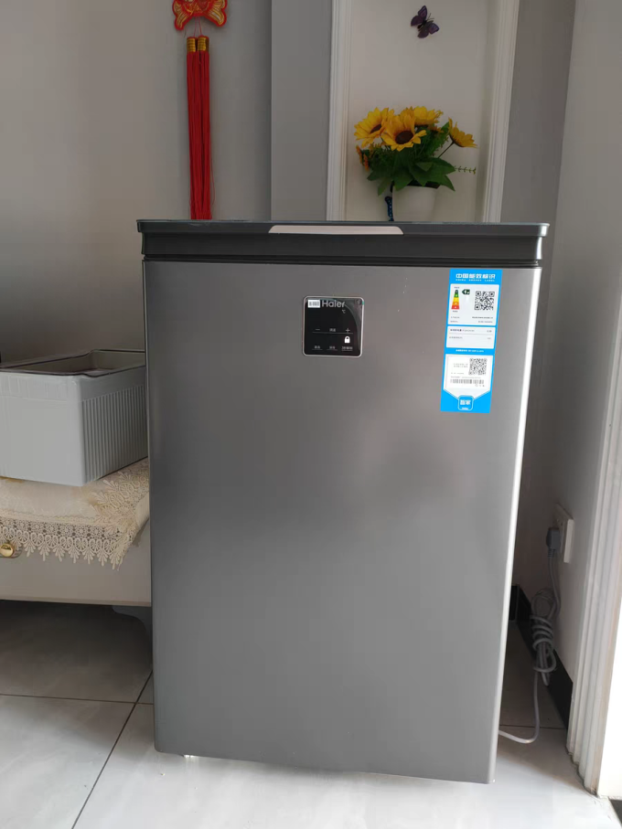 海尔冰柜家用100200300升冷藏冷冻柜两用小型减霜零下40冷柜