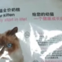 猫粮的选择