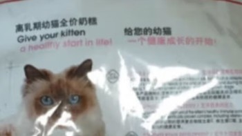 猫粮的选择