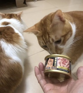 富力鲜（Frisian）泰国进口 猫罐头85g*24罐白身鲔鱼+牛肉罐头成猫宠物猫粮零食湿粮