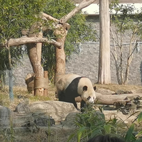 母婴童装 篇十四：遛娃好去处-武汉动物园