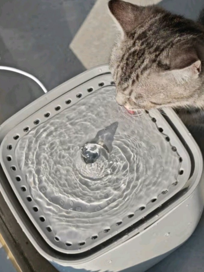 宠物智能饮水机