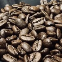 辛鹿咖啡豆：搬砖必备，提神醒脑的秘密武器！
