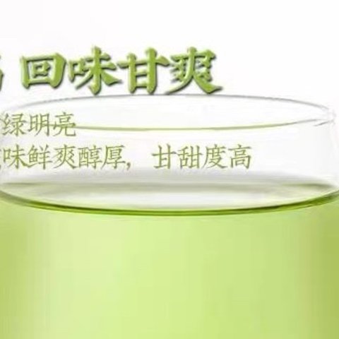 春茶——春天的味蕾盛宴