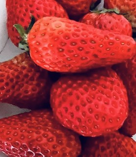 丹东99草莓，甜蜜诱惑挡不住！