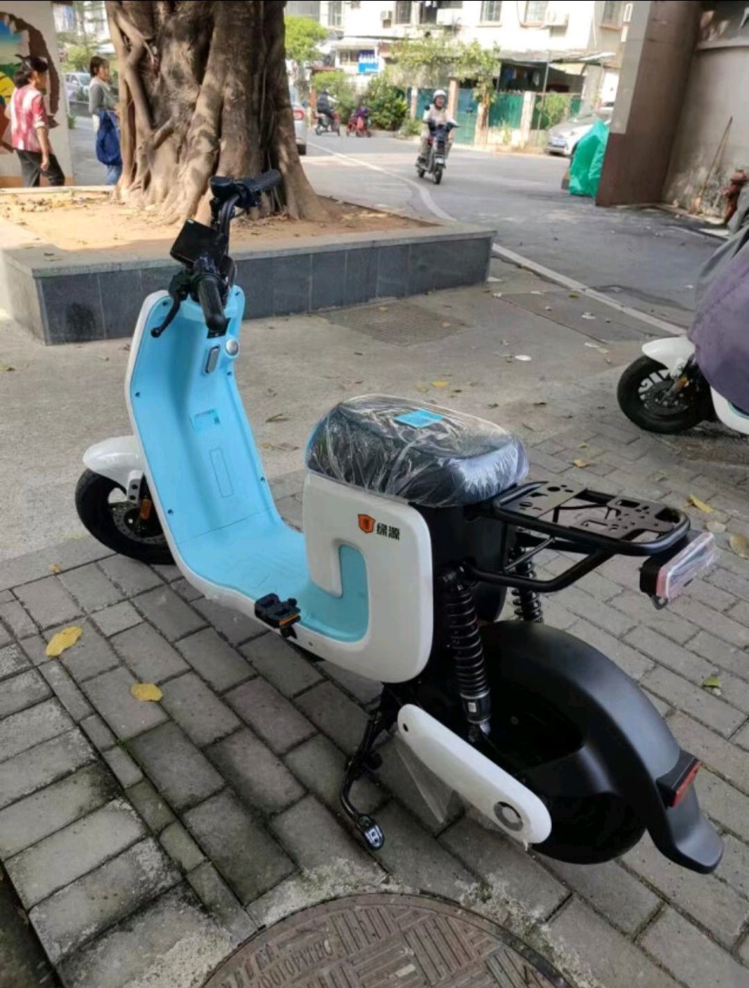 绿源(luyuan)电动车48v24a新国标电动自行车锂电通勤代步车 液冷电机