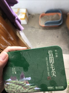 谁最能代表春茶，那就是信阳毛尖