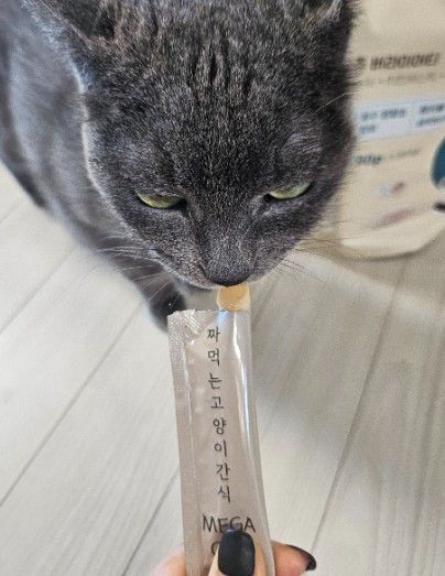 猫咪肉质零食