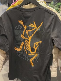 几百元一件的始祖鸟T恤，你们会入手吗？